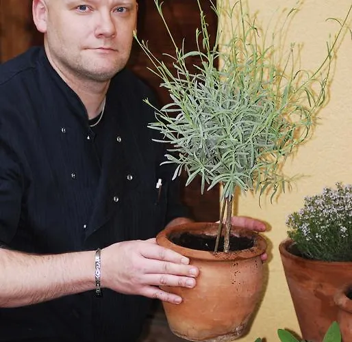 ホテル Stockerwirt ライト・イム・アルプバッハタール